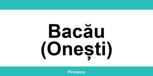 Inspectoratul Teritorial de Muncă (ITM) Bacău (Onești): program și contact