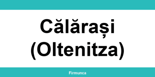 Inspectoratul Teritorial de Muncă (ITM) Călărași (Oltenitza): program și contact