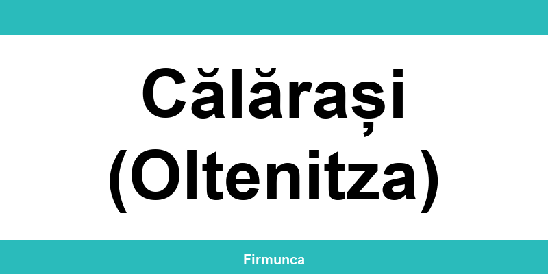 Inspectoratul Teritorial de Muncă (ITM) Călărași (Oltenitza): program și contact