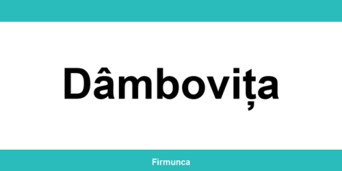 Inspectoratul Teritorial de Muncă (ITM) Dâmbovița: program și contact