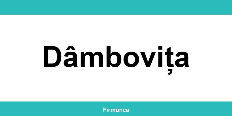 Inspectoratul Teritorial de Muncă (ITM) Dâmbovița: program și contact