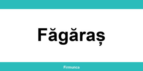 Inspectoratul Teritorial de Muncă (ITM) Făgăraș: program și contact