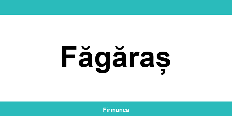 Inspectoratul Teritorial de Muncă (ITM) Făgăraș: program și contact