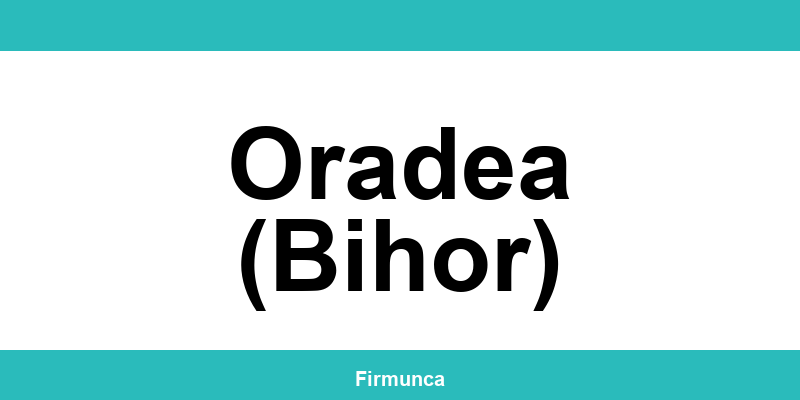 Inspectoratul Teritorial de Muncă (ITM) Oradea (Bihor): program și contact