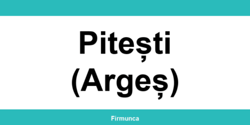 Inspectoratul Teritorial de Muncă (ITM) Pitești (Argeș): program și contact