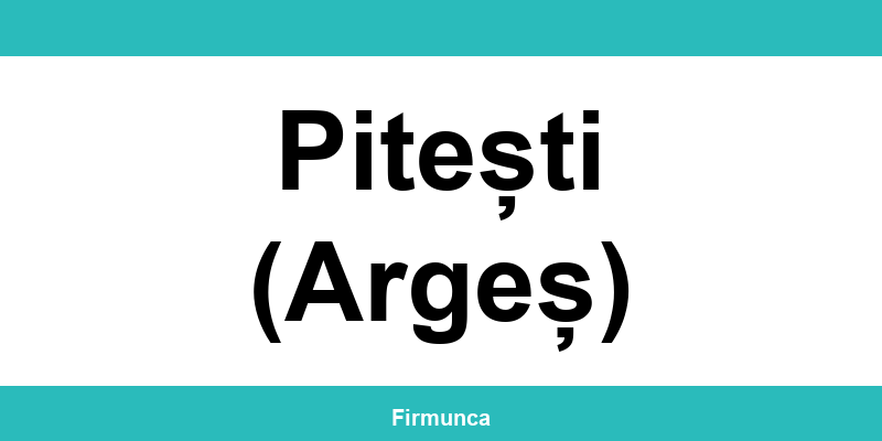 Inspectoratul Teritorial de Muncă (ITM) Pitești (Argeș): program și contact