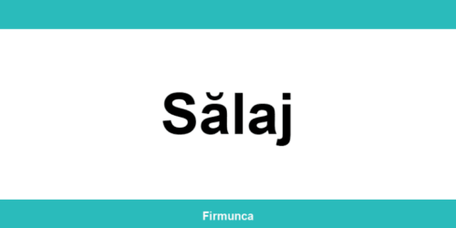 Inspectoratul Teritorial de Muncă (ITM) Sălaj: program și contact