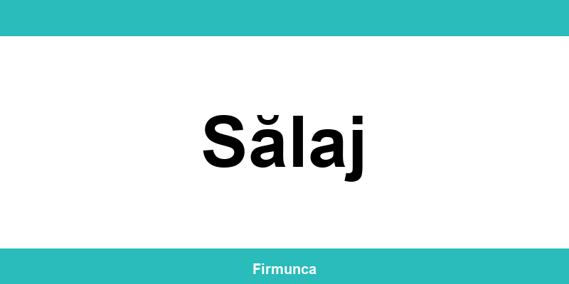 Inspectoratul Teritorial de Muncă (ITM) Sălaj: program și contact