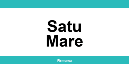 Inspectoratul Teritorial de Muncă (ITM) Satu Mare: program și contact