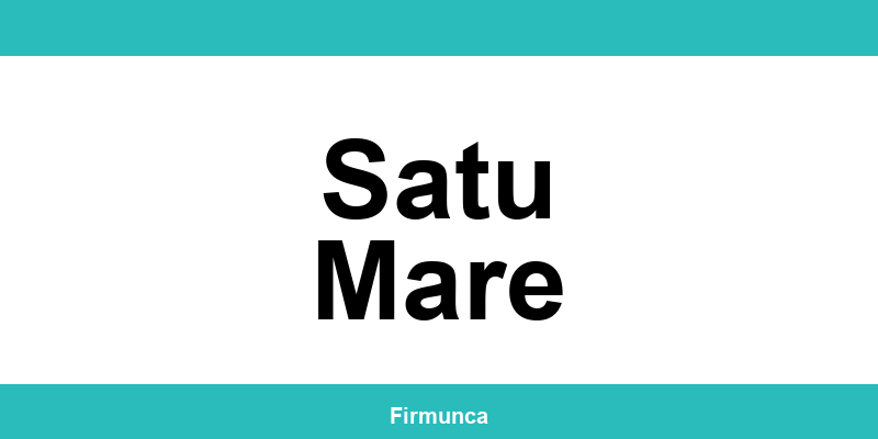 Inspectoratul Teritorial de Muncă (ITM) Satu Mare: program și contact