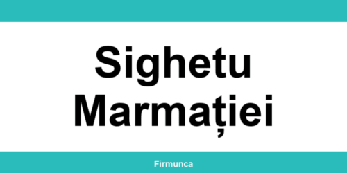 Inspectoratul Teritorial de Muncă (ITM) Sighetu Marmației: program și contact