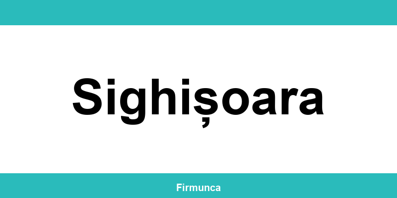 Inspectoratul Teritorial de Muncă (ITM) Sighișoara: program și contact