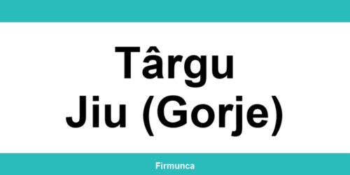 Inspectoratul Teritorial de Muncă (ITM) Târgu Jiu (Gorje): program și contact