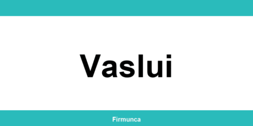 Inspectoratul Teritorial de Muncă (ITM) Vaslui: program și contact