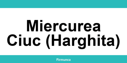 Inspectoratul Teritorial de Muncă (ITM) Miercurea Ciuc (Harghita): program și contact